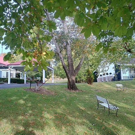 Moore Park Inn Armidale Bagian luar foto