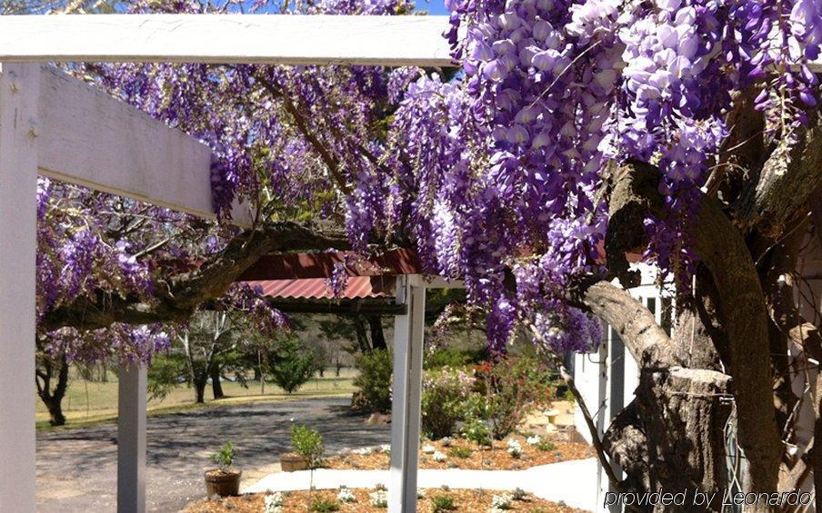 Moore Park Inn Armidale Bagian luar foto