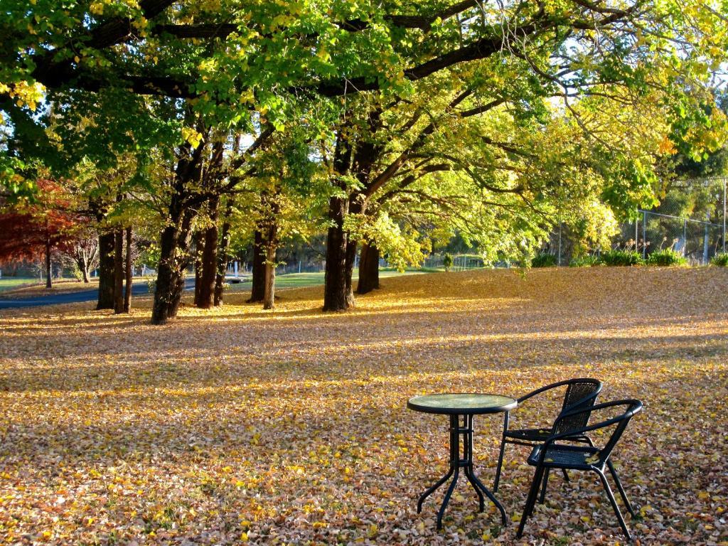 Moore Park Inn Armidale Bagian luar foto