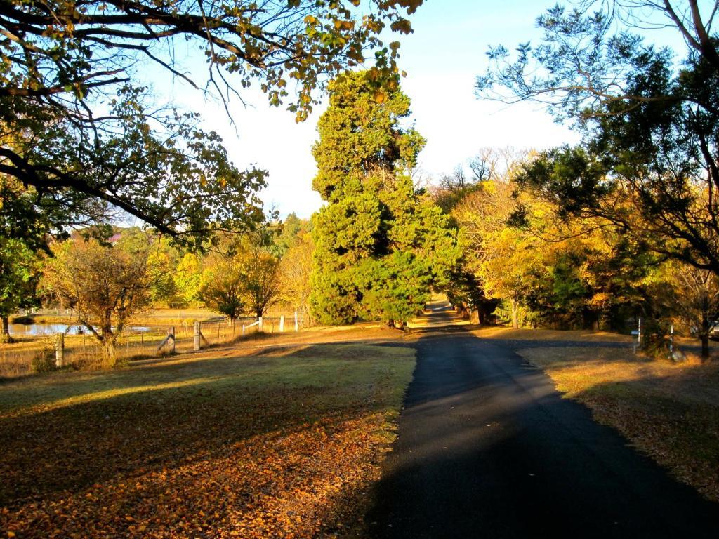 Moore Park Inn Armidale Bagian luar foto