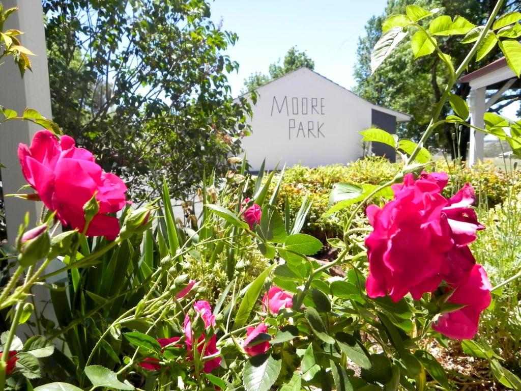 Moore Park Inn Armidale Bagian luar foto